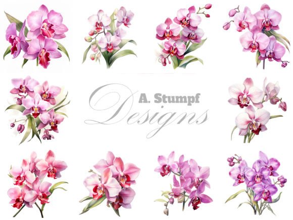 Orchid Watercolor Clipart Bundle: A Designer's Guide